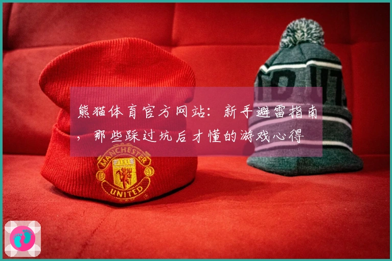熊猫体育官方网站:新手避雷指南,那些踩过坑后才懂的游戏心得